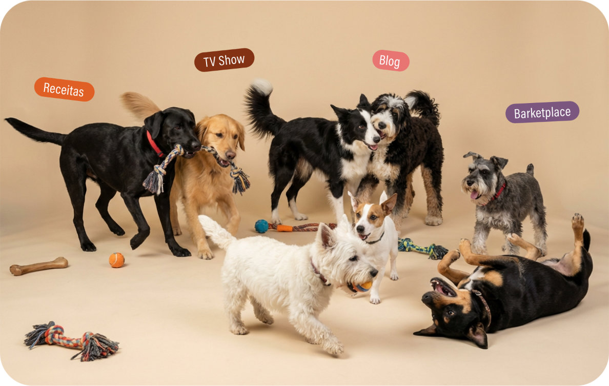 O que é Bone Appétit?