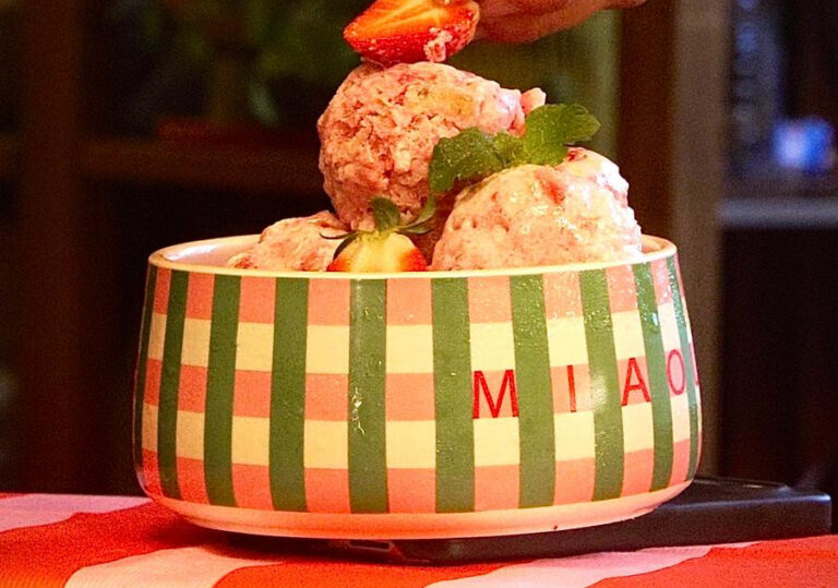 Receita à lupa: análise da nossa Veterinária