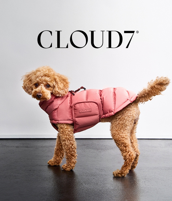 CLOUD7