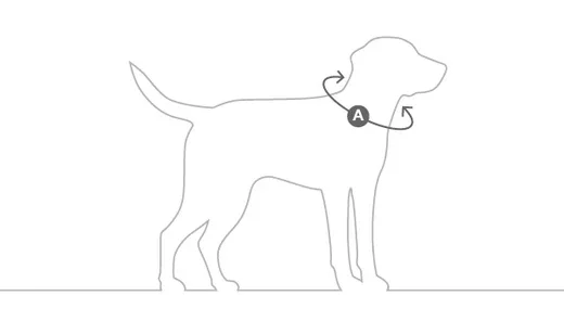 Palermo Coleira MiaCara