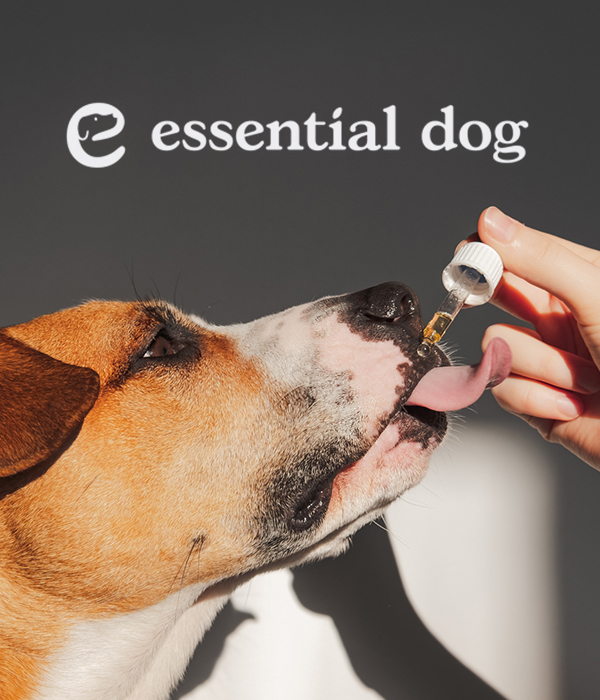 Essential Dog